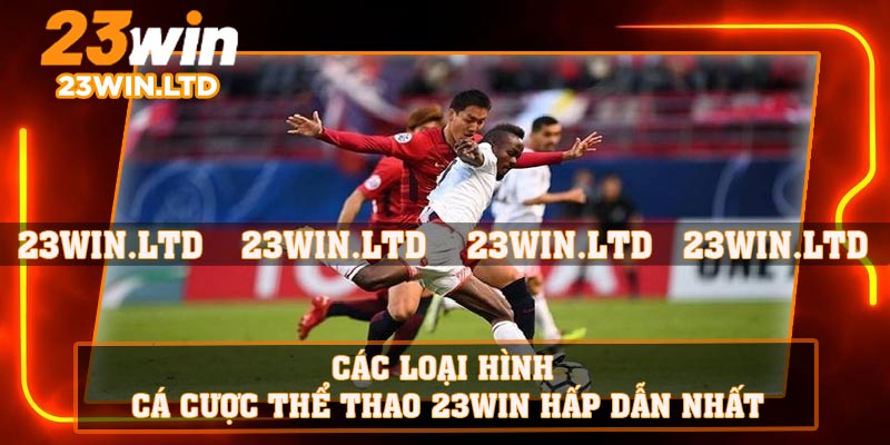 Các loại hình cá cược thể thao 23WIN hấp dẫn nhất