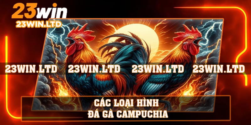 Các loại hình đá gà Campuchia