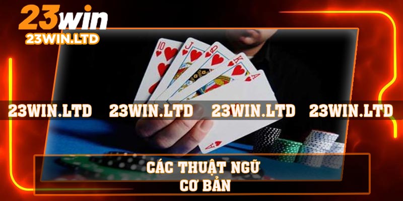 Các thuật ngữ cơ bản