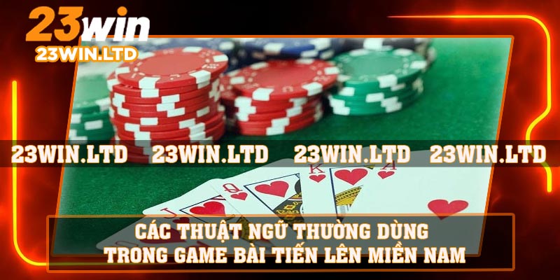 Các thuật ngữ thường dùng trong game bài Tiến Lên Miền Nam