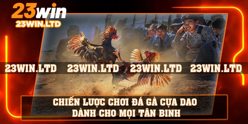 Chiến lược chơi đá gà cựa dao dành cho mọi tân binh