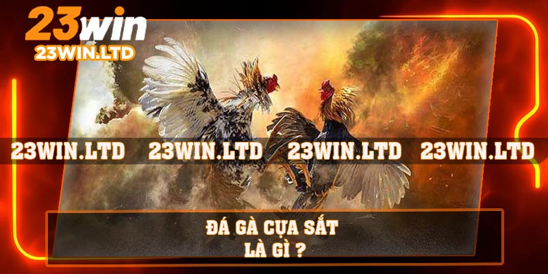 Đá gà cựa sắt là gì ?