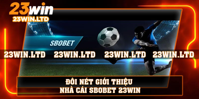 Đôi nét giới thiệu nhà cái SBOBET 23WIN