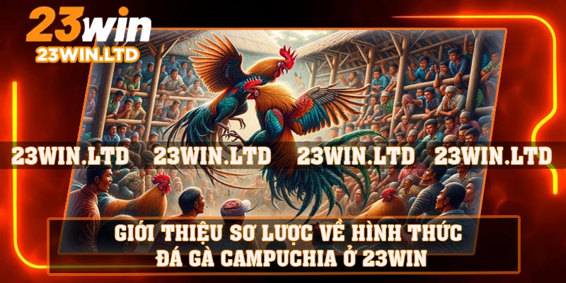 Giới thiệu sơ lược về hình thức đá gà Campuchia ở 23WIN
