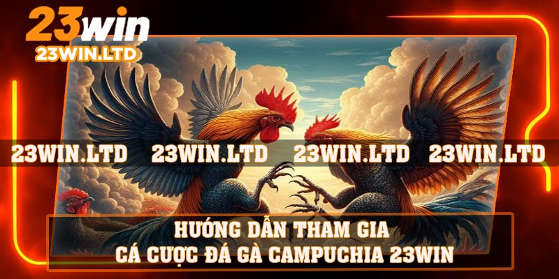 Hướng dẫn tham gia cá cược đá gà Campuchia 23WIN
