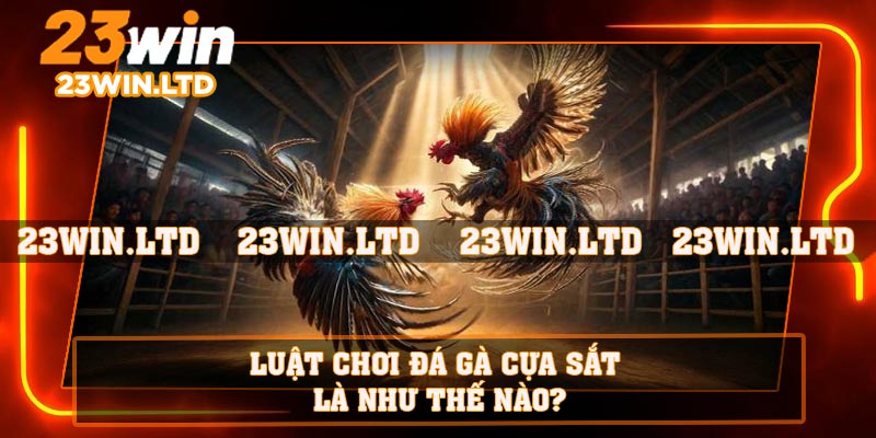 Luật chơi đá gà cựa sắt là như thế nào?