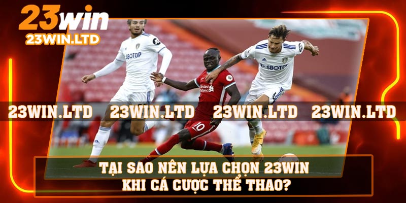 Tại sao nên lựa chọn 23WIN khi cá cược thể thao?