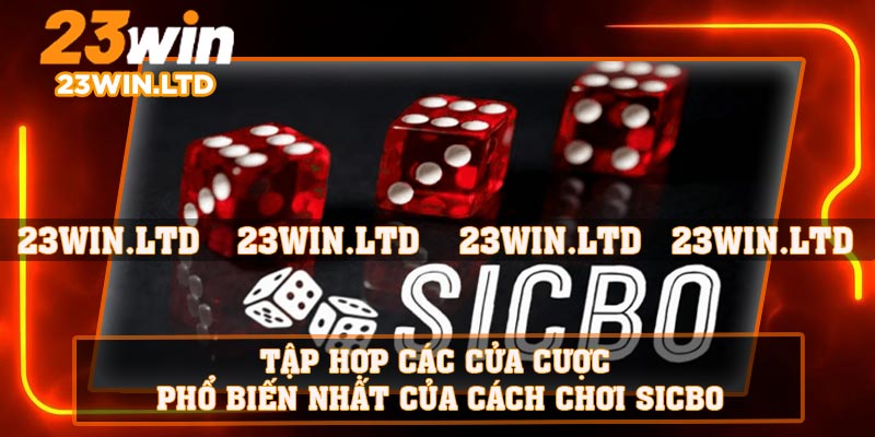 Tập hợp các cửa cược phổ biến nhất của cách chơi Sicbo