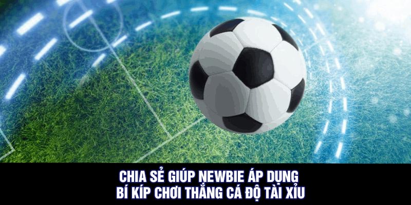 Chia sẻ giúp newbie áp dụng bí kíp chơi thắng cá độ tài xỉu