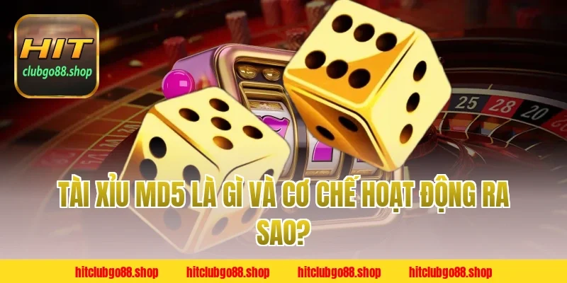 Tài Xỉu MD5 Là Gì Và Cơ Chế Hoạt Động Ra Sao?